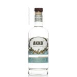 יוליוס עכו גין