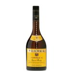 ברנדי טורס 10